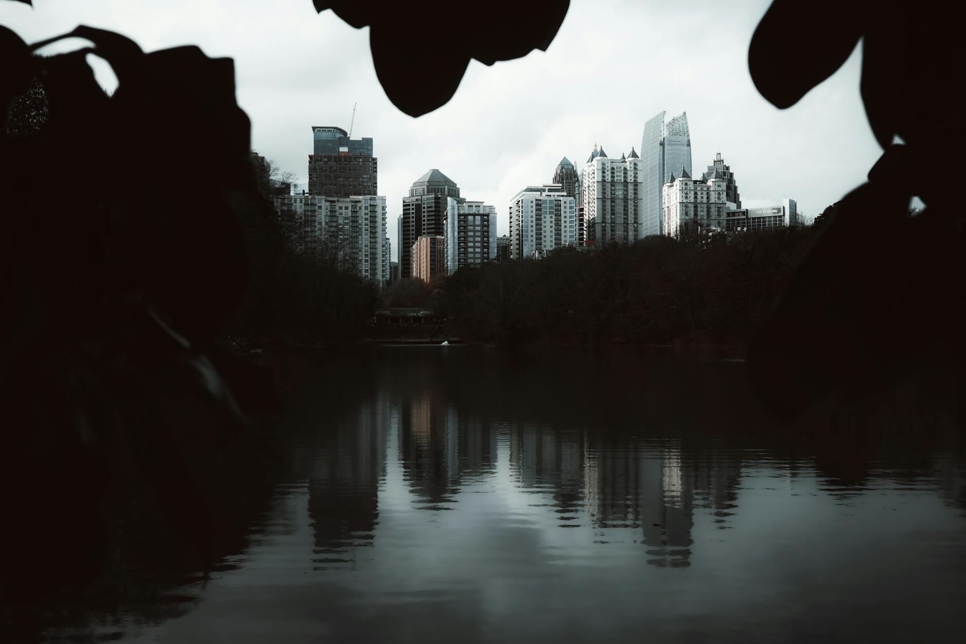 Piedmont Park in Atlanta