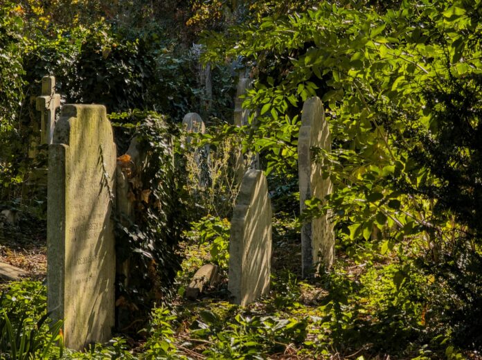 Oakland Cemetery (historic garden cemetery and cultural landscape)